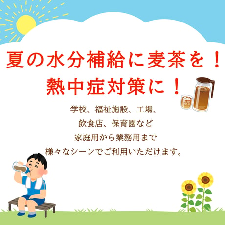 愛知県産六条麦茶ティーバッグ 30袋×15