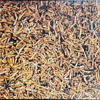 辛煮パズル上級者用