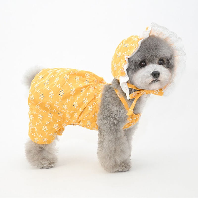 オーダー商品】Pettrip 犬用帽子/ドッググッズ（小型犬/中型犬/大型犬