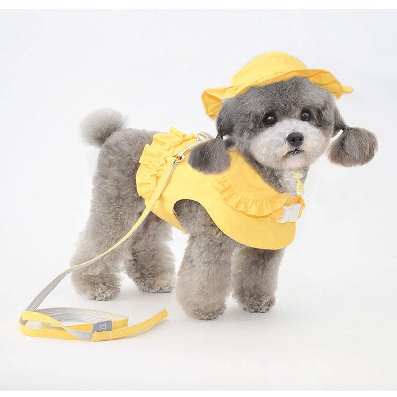 オーダー商品】Pettrip 犬用帽子/ドッググッズ（小型犬/中型犬/大型犬