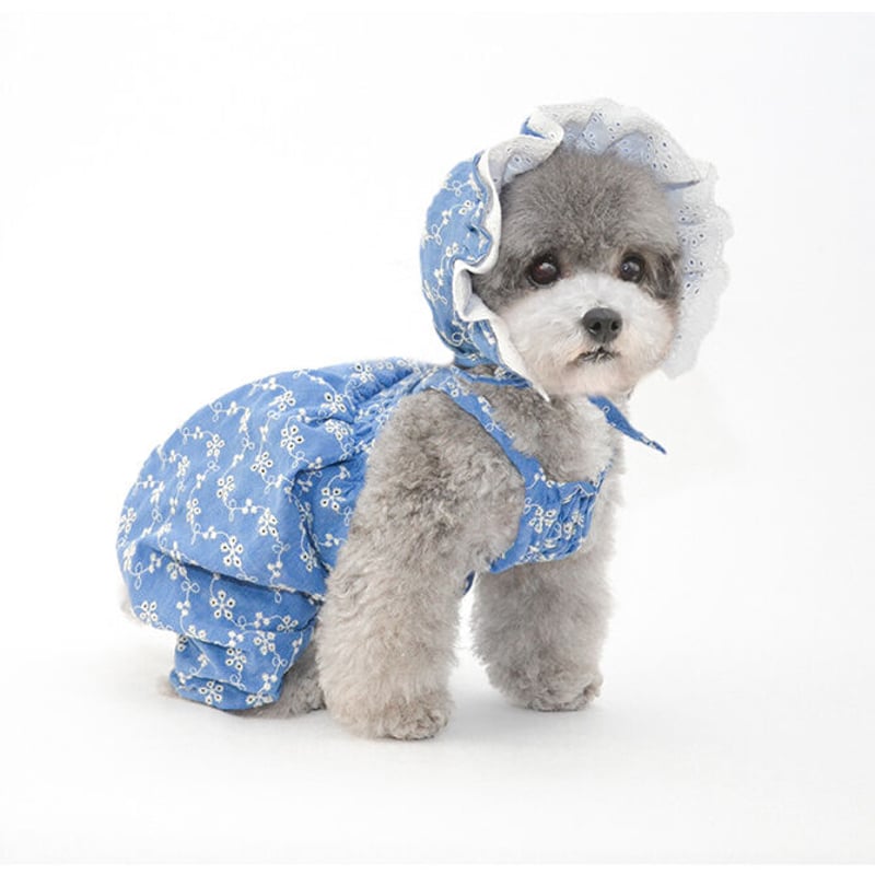 オーダー商品】Pettrip 犬用帽子/ドッググッズ（小型犬/中型犬