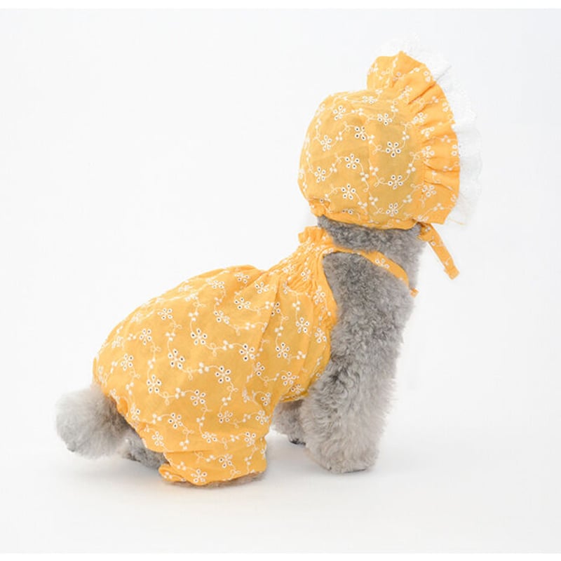 オーダー商品】Pettrip 犬用帽子/ドッググッズ（小型犬/中型犬