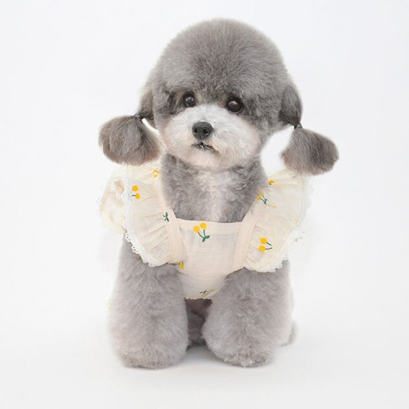 ラフウェア　Ｓサイズ　中型犬、大型犬　ドッグウェア　夏　服 楽天市場】犬 服 大型犬 中型犬 夏服 タンクトップ メッシュ