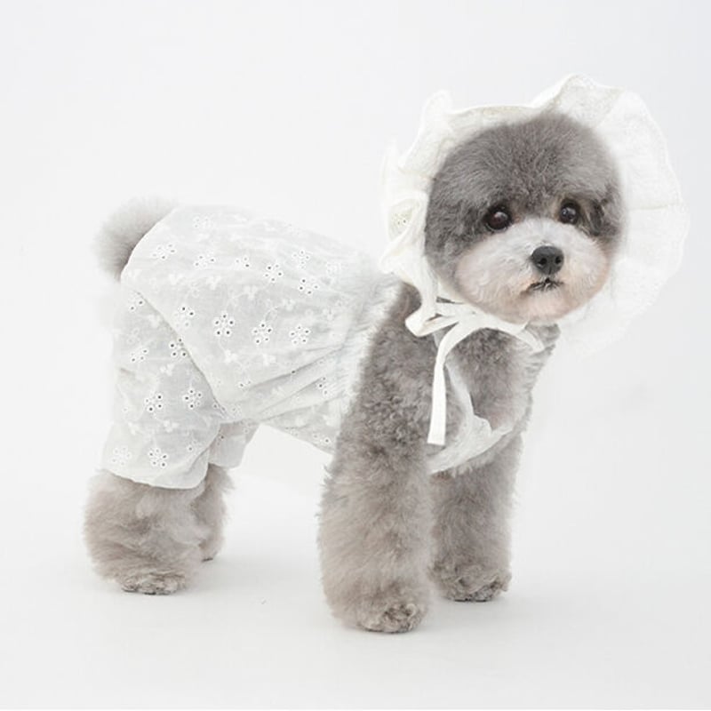 オーダー商品】Pettrip 犬用帽子/ドッググッズ（小型犬/中型犬/大型犬