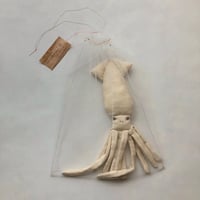 「Squid in the net」