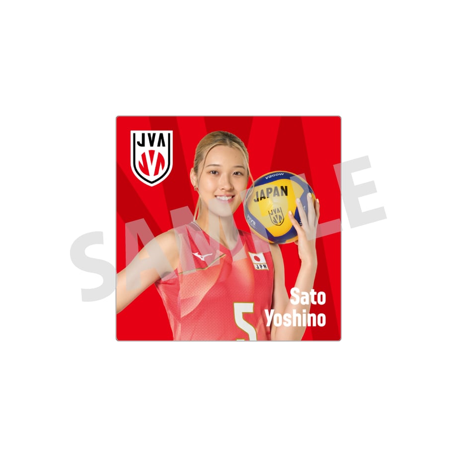 6a28e64a7ae4bd0ec6ac9be8