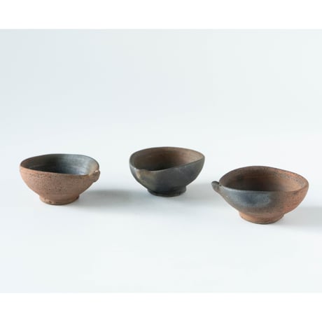 CATEGORY 平岡仁 | ぶどうのたね