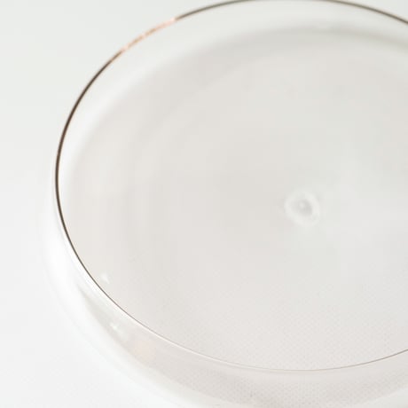 菊地大護　plate(L)