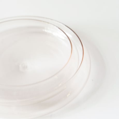 菊地大護　plate(L)