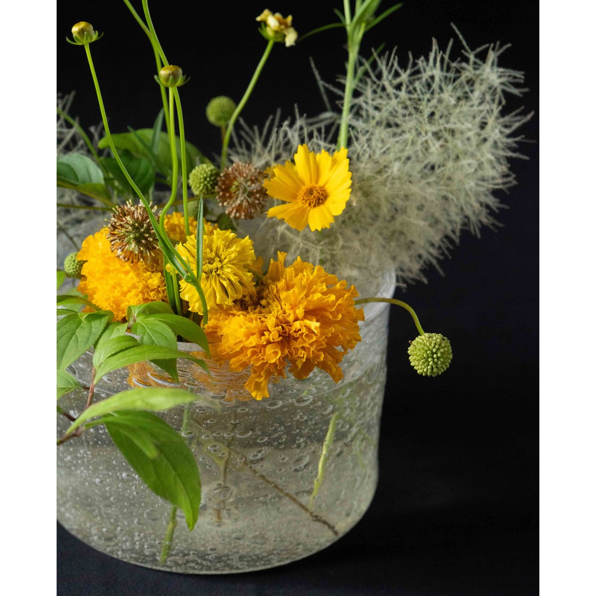 大家具子 泡のうつわ 花器 浅鉢L | ぶどうのたね