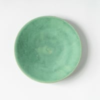和田山真央　微細結晶緑釉平皿 L