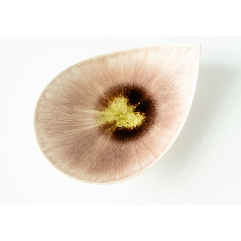 和田山真央 しずく皿S | ぶどうのたね