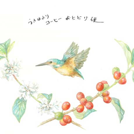 うきはより "コーヒーおとどけ便"　　☺毎月美味しいコーヒーをお届けします☺