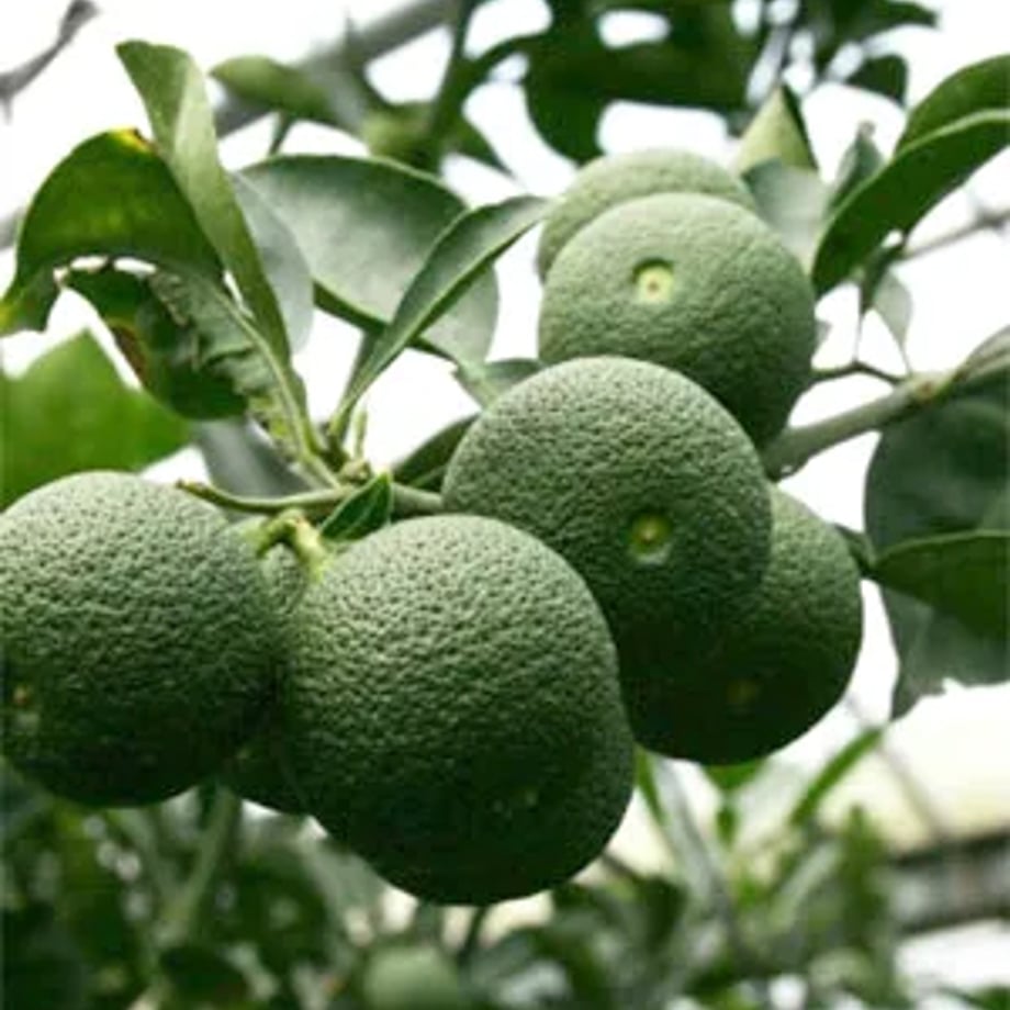 6826cc7a3e0c067a2b443aa0