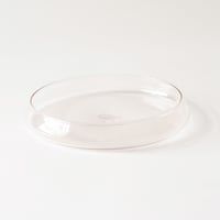 菊地大護　plate(L)