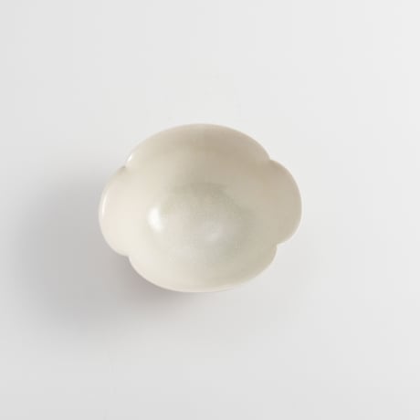 CATEGORY 黒木泰等 | ぶどうのたね