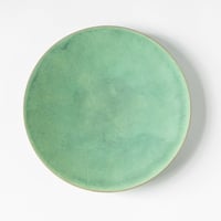 和田山真央　微細結晶緑釉平皿 LL