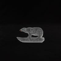 盛國泉　舟にのるシロクマ