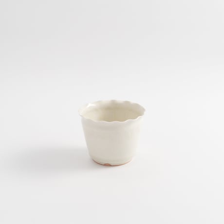 CATEGORY 黒木泰等 | ぶどうのたね