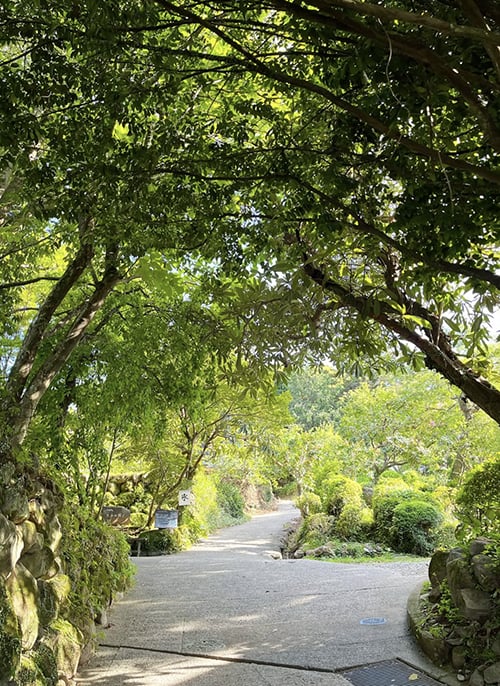 CATEGORY 大沼道行 | ぶどうのたね
