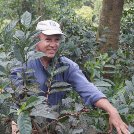 CATEGORY ZELKOVA COFFEE | ぶどうのたね