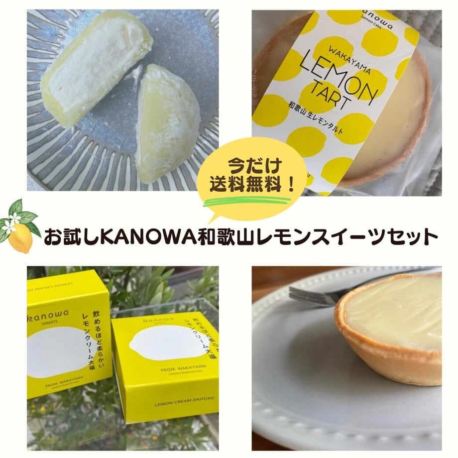 636a7b75bd5e4d1a2b21250c