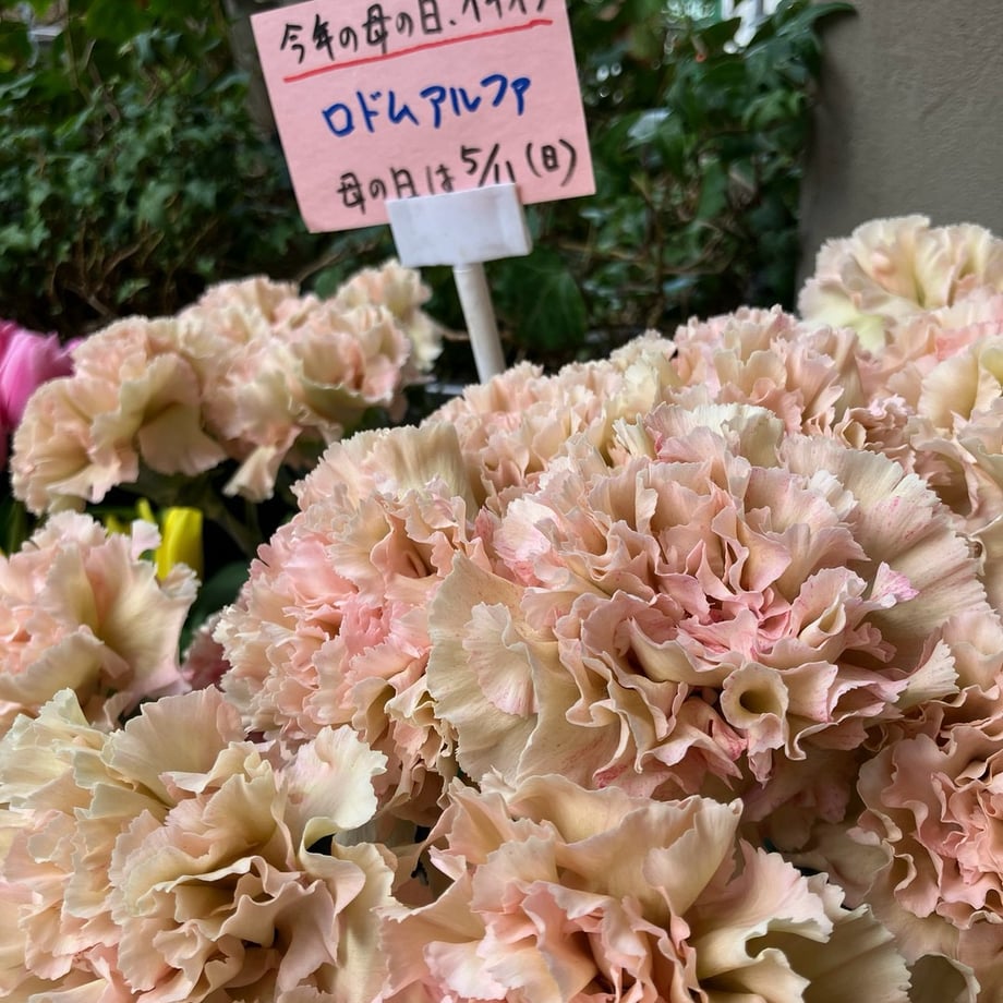 67cfb27ab5941fe76951189a