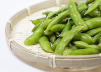 枝豆の王様　茶豆