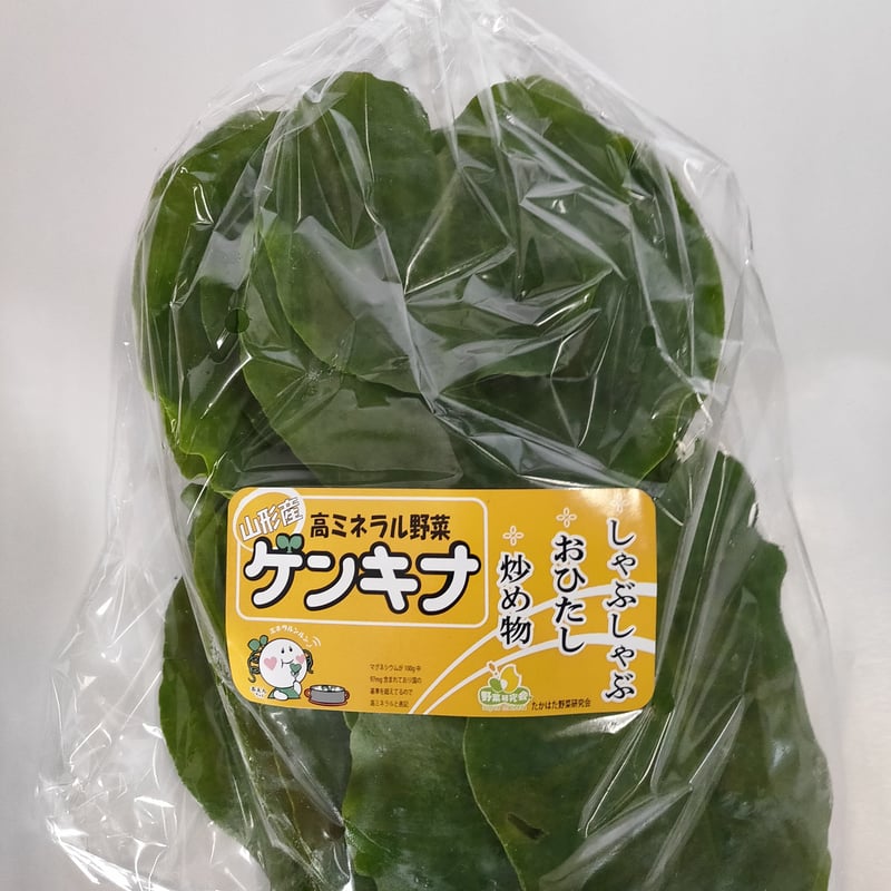 無農薬 高機能野菜 ゲンキナ お試し2個セット | 山形のくだもの