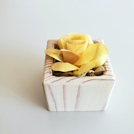 kinano box【S】YELLOW