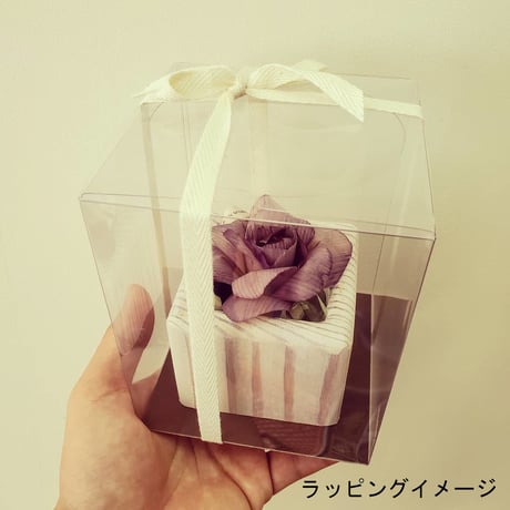 kinano box【L】ALL BLUE