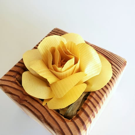 kinano box【S】YELLOW
