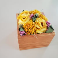 kinano box【L】ALL YELLOW