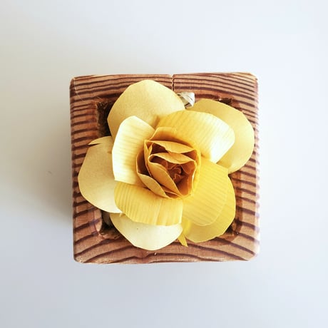 kinano box【S】YELLOW