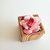 kinano box【S】PINK