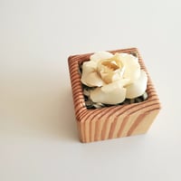 kinano box【S】natural