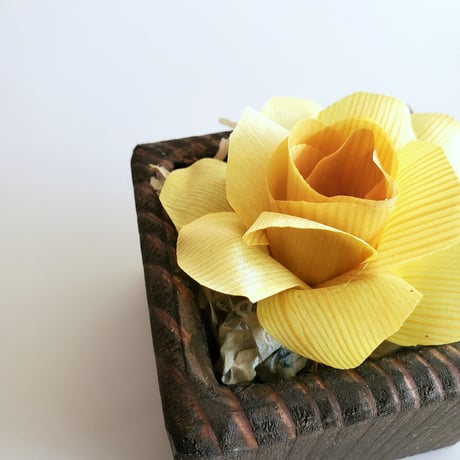 kinano box【S】YELLOW