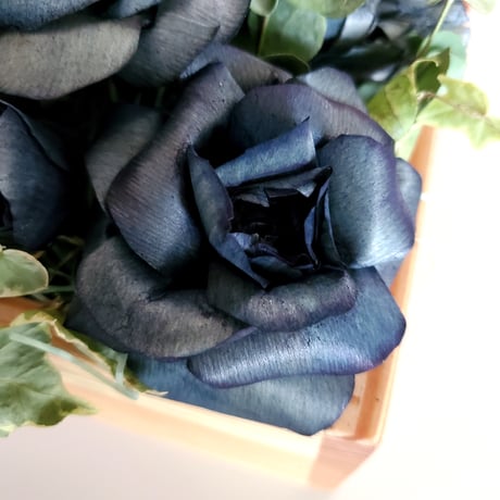 kinano box【L】ALL BLUE