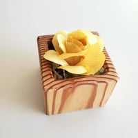 kinano box【S】YELLOW