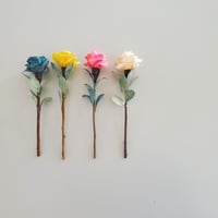 kinano Rose color