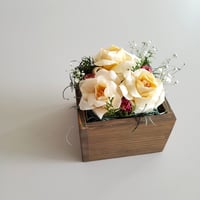 kinano box【M】R3natural