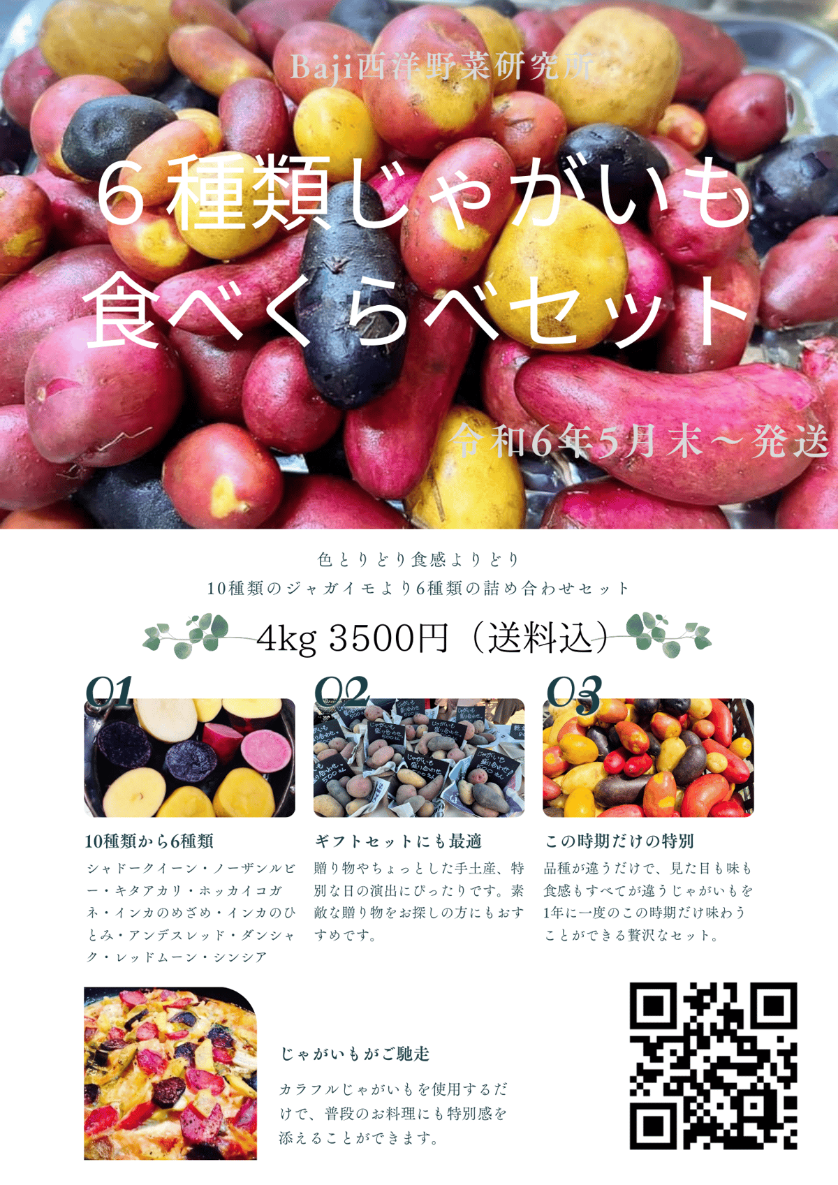 千葉県産 土垂れ 里芋 種芋 Sサイズ 20kg 【公式通販】
