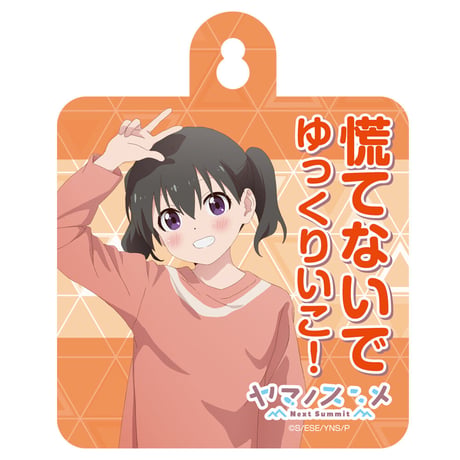 ヤマノススメNext Summit カー&ドアサイン