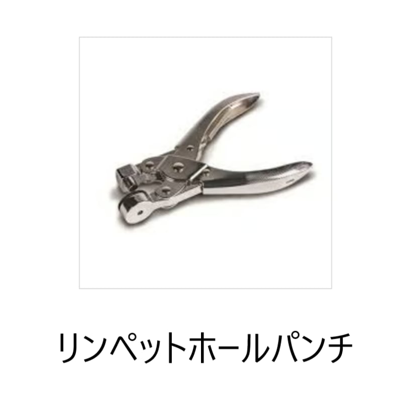 数量限定キャンペーン価格!! RALLY AIR PRO 330 DA + ANNEXE ラリ