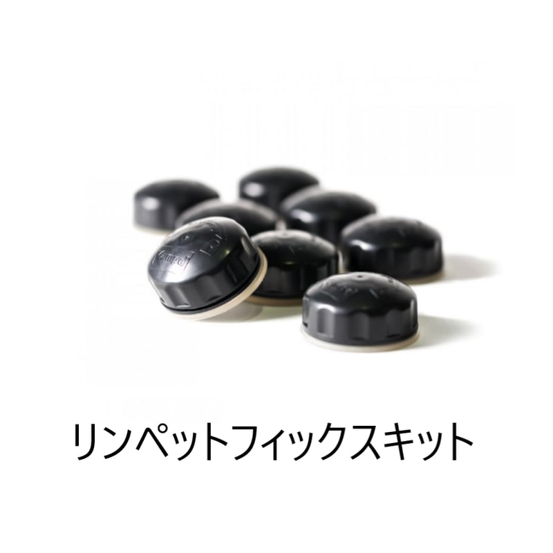 数量限定キャンペーン価格!! RALLY AIR PRO 330 DA + ANNEXE ラリ