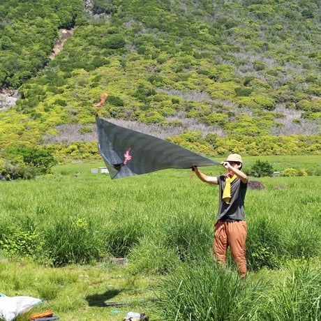Trapezoid tarp - Minimalism -