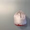 BIG sack.