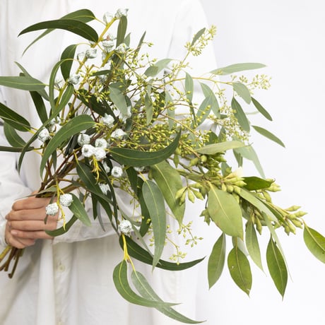 tokyo_shokubutsu_zufu