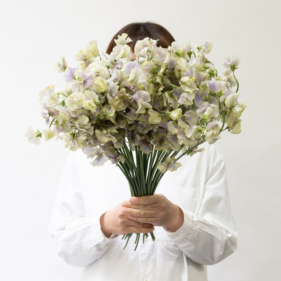 695f790ad9c7d01efa12e410