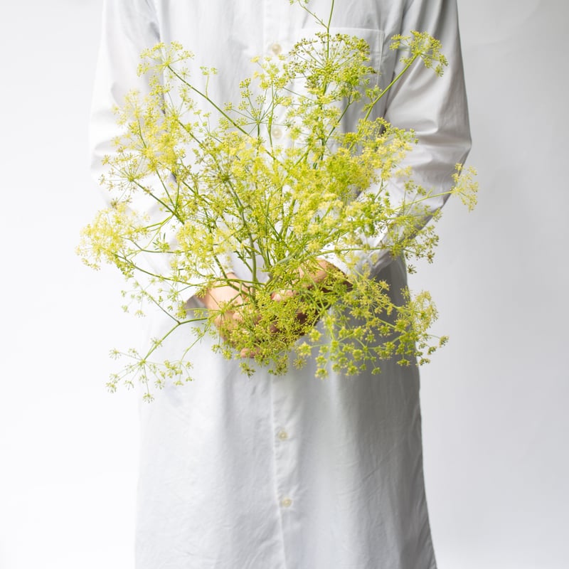 食べられるハーブの花束 | tokyo_shokubutsu_zufu